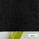 דוגמית מצולמת רומאי חצי אטום שחור DNA17